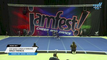 Top Dawg Cheer & Tumbling - Wild Things [2024 L1 Tiny - Novice - Restrictions Day 1] 2024 JAMfest San Antonio Classic
