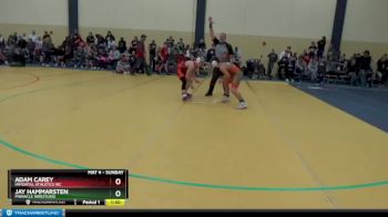 120 lbs Quarterfinal - Adam Carey, Immortal Athletics WC vs Jay Hammarsten, PINnacle Wrestling
