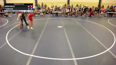 138 lbs Champ. Round 2 - Aidan Wells, SD vs Liam Aye, IL