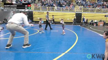 45 lbs Final - Elliott Liogghio, Andover Wrestling Club vs Mereck Malone, Bartlesville Wrestling Club