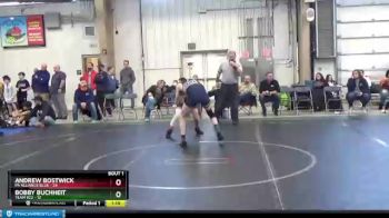 110 lbs Round 1 (6 Team) - Andrew Bostwick, PA Alliance Blue vs Bobby Buchheit, Team 922