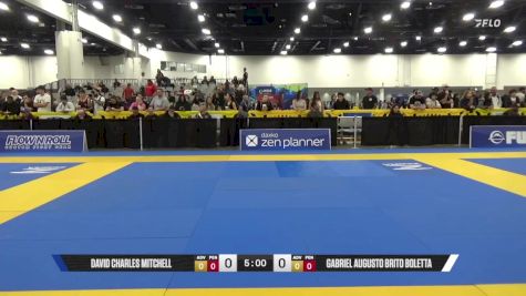 Gabriel Augusto Brito Boletta vs David Charles Mitchell 2025 World IBJJF Jiu-Jitsu No-Gi Championship