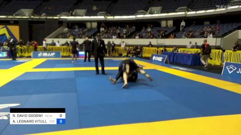ANTHONY LEONARD VITULLO vs RICHARD DAVID GOODWIN 2022 World IBJJF Jiu-Jitsu No-Gi Championship