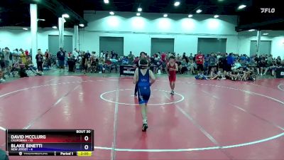 92 lbs Placement Matches (16 Team) - David McClurg, California vs Blake Binetti, New Jersey