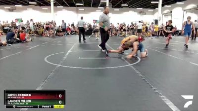 110 lbs Round 2 (4 Team) - James Hedrick, 84 Athletes vs Landen Miller, PA Alliance Red