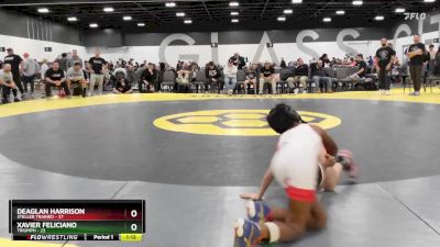 60 lbs Round 3 (6 Team) - Deaglan Harrison, Steller Trained vs Xavier Feliciano, Triumph