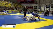 REDA MEBTOUCHE vs ANDREW WILTSE 2018 World IBJJF Jiu-Jitsu Championship