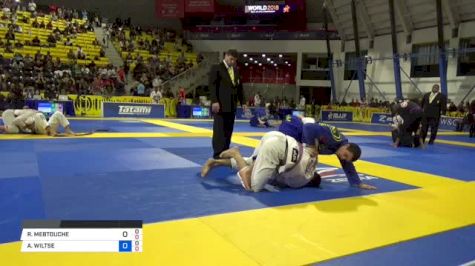 REDA MEBTOUCHE vs ANDREW WILTSE 2018 World IBJJF Jiu-Jitsu Championship