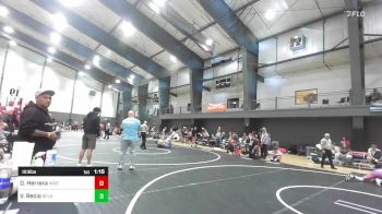 123 lbs Quarterfinal - David Herrera, Independent vs Valentino Recio, SelahFlo Vikings