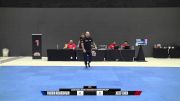 Jozef Chen vs Pakorn Noiardharn 2025 ADCC Asia & Oceania Championship