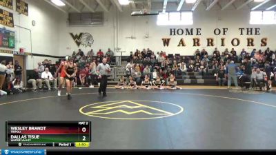 145 lbs Quarterfinal - Wesley Brandt, Tripoli vs Dallas Tisue, Wapsie Valley