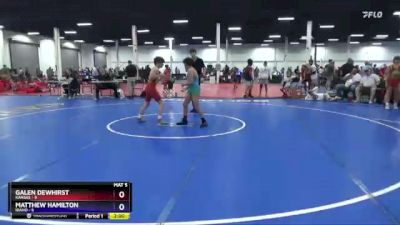 110 lbs 2nd Wrestleback (8 Team) - Galen Dewhirst, Kansas vs Matthew Hamilton, Idaho