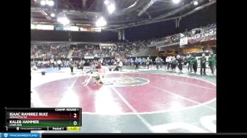 132 lbs Champ. Round 1 - Kaleb Hammer, Lakeland vs Isaac Ramirez Ruiz, Hermiston HS