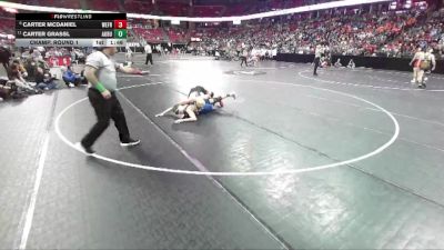 D3-175 lbs Champ. Round 1 - Carter Grassl, Auburndale vs Carter McDaniel, Weyauwega-Fremont