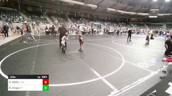 43 lbs Rr Rnd 2 - Hunter Wells, Claremore Wrestling Club vs Braylyn Grigg, Tulsa Blue T Panthers