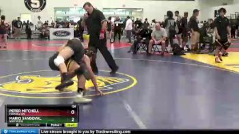 126 lbs Cons. Round 4 - Mario Sandoval, Northview vs Peter Mitchell, Foothill (sa)