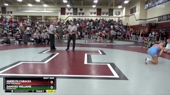 140 lbs Cons. Round 3 - Andelyn Cabalka, East Buchanan vs Damiyah Williams, Mason City