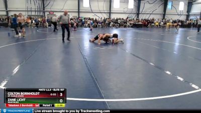 Elite 157 lbs Champ. Round 2 - Colton Bornholdt, St. Cloud State vs Zane Licht, Wartburg