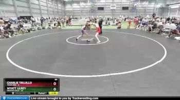 94 lbs Placement Matches (8 Team) - Charlie Trujillo, Texas Red vs WYATT ULREY, Indiana Gold