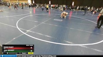 113 lbs Champ. Round 1 - Max Brandt, TX vs Evan Fahey, WI