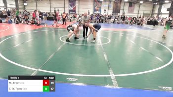 170 lbs Rr Rnd 1 - Mason Avery, Vipers vs Troy St. Peter, University Hawks Wrestling Club