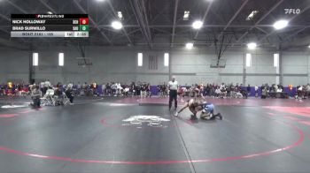 165 lbs Cons. Round 1 - Brad Surwillo, St. Ambrose University vs Nick Holloway, Schreiner