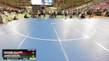 150 lbs Champ. Round 2 - Nathaniel Gallardo, Mustang Wrestling Club vs Damion Hamilton, Team Idaho Wrestling Club