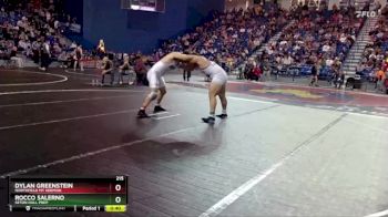 215 lbs Cons. Round 5 - Dylan Greenstein, Northfield Mt Hermon vs Rocco Salerno, Seton Hall Prep