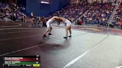 215 lbs Cons. Round 5 - Dylan Greenstein, Northfield Mt Hermon vs Rocco Salerno, Seton Hall Prep