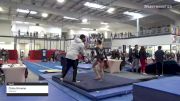 Chloe Browne - Vault, Discover - 2021 Region 3 Women's Championships