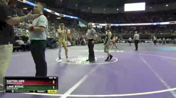 5th Place Match - Dayton Gipe, Sandhills Valley vs Lane Bohac, East Butler