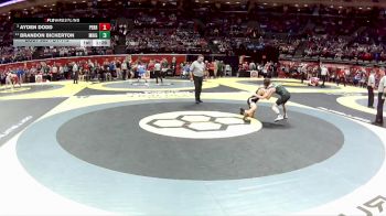 D1-113 lbs Quarterfinal - Ayden Dodd, Perrysburg vs Brandon Bickerton, Med. Highland