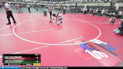 100 lbs Semifinal - Colt Nachreiner, Sarbacker Wrestling Academy vs Lincoln Goodrich, Pinnacle Wrestling Club