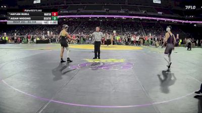 D4-144 lbs Semifinal - Haylen Buell, Martin vs Aidan Wiggins, Decatur