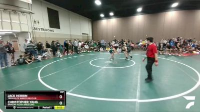 84-87 lbs Round 1 - Christopher Yang, Dragon Youth Wrestling vs Jack Herrin, Texas Elite Wrestling Club