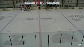 Replay: Home - 2024 Wild U18 AAA vs Cougars U18 AAA | Feb 3 @ 7 PM