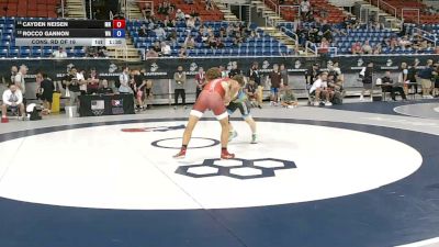 138 lbs Cons. Rd Of 16 - Cayden Neisen, Minnesota vs Rocco Gannon, Washington