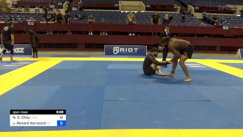 Nathan S. Chau vs Jarell Renard Norwood 2024 Pan IBJJF Jiu-Jitsu No-Gi Championship