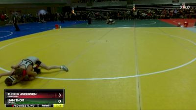 70 lbs Quarterfinal - Liam Thom, Sartell vs Tucker Anderson, Owatonna