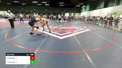 190 lbs Consi Of 32 #1 - Conor Delaney, NJ vs Toler Hornick, SC