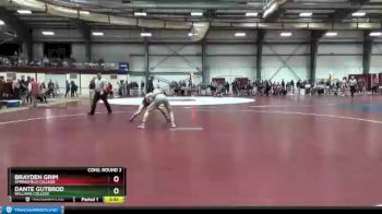 174 lbs Cons. Round 2 - Brayden Grim, Springfield College vs Dante Gutbrod, Williams College