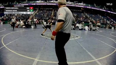 138 lbs Champ. Round 1 - Moriah Antis, Jay. M. Robinson vs Zedya Mitchell, South Central High School