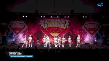Designer Athletics - Cartier Coed [2025 L6 Limited Coed - XSmall Day 2] 2025 Spirit Sports Myrtle Beach Nationals