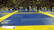 Servio Junqueira vs Magid Have 2018 World IBJJF Jiu-Jitsu Championship