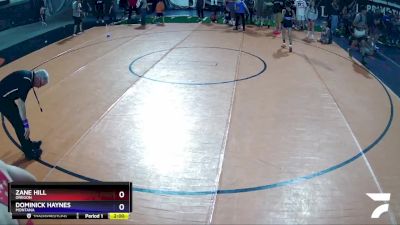 120 lbs 3rd Place Match - Zane Hill, Oregon vs Dominick Haynes, Montana
