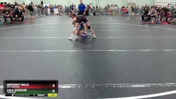 113 lbs Cons. Round 4 - Cole Schisler, ``The Cage vs Anthony Valls, Mat Assassins