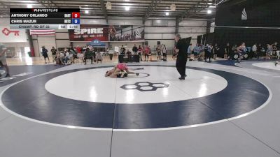 60 lbs Champ. Rd Of 32 - Anthony Orlando, Danville RTC vs Chris Mazur, Rochester Regional Training Center