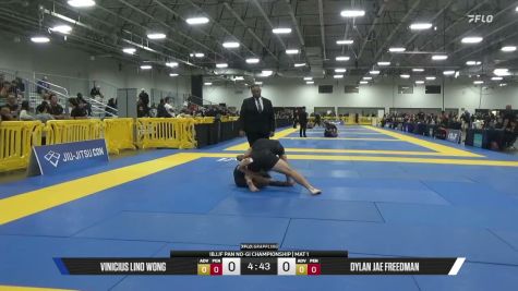 Dylan Jae Freedman vs Vinicius Lino Wong 2026 Pan IBJJF Jiu-Jitsu No-Gi Championship