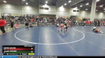 87 lbs Cons. Round 3 - Ayden Spicher, IA vs Hayes Holter, SD