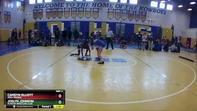 108 lbs 1st Place Match - Joslyn Johnson, Flagler Wrestling Club vs Camdyn Elliott, Well Trained